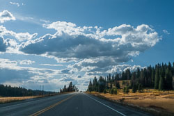 2009_usa_3383.jpg 2009_usa_3383.jpg