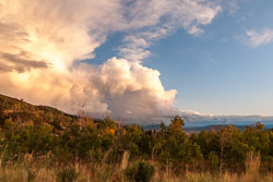 2009_usa_3441.jpg 2009_usa_3441.jpg