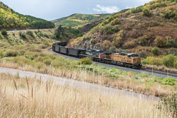 2009_usa_3491.jpg 2009_usa_3491.jpg