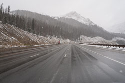 2009_usa_3695.jpg 2009_usa_3695.jpg