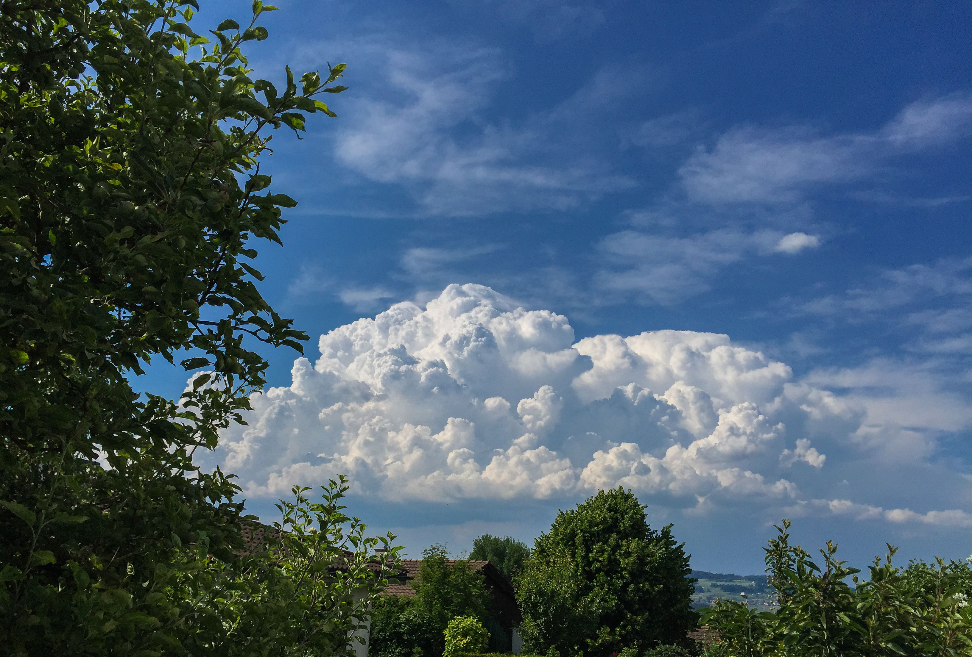 2015_diverse_2779.jpg